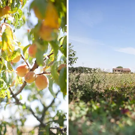 Agriturismo Il Mondo Casa di campagna Parma