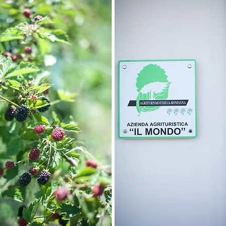 Casa di campagna Agriturismo Il Mondo